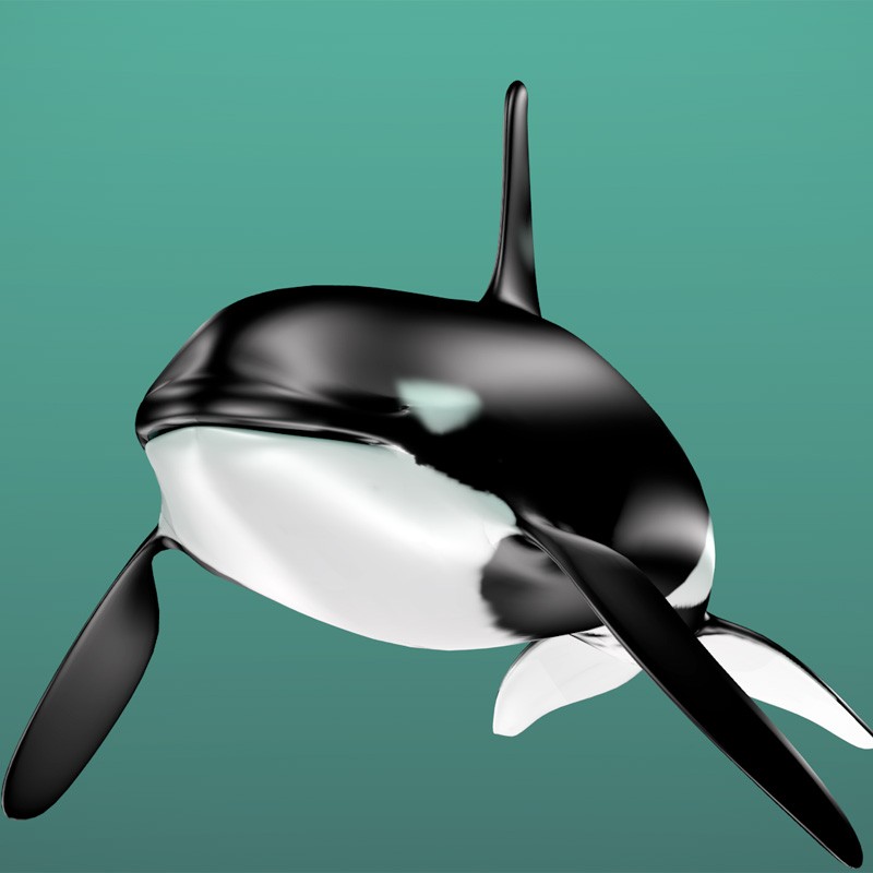 Orca  preview image 1
